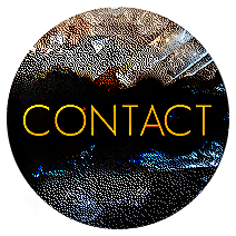 contact button